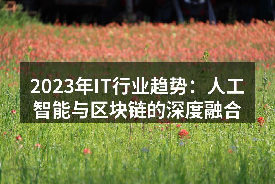 2023年IT行业趋势：人工智能与区块链