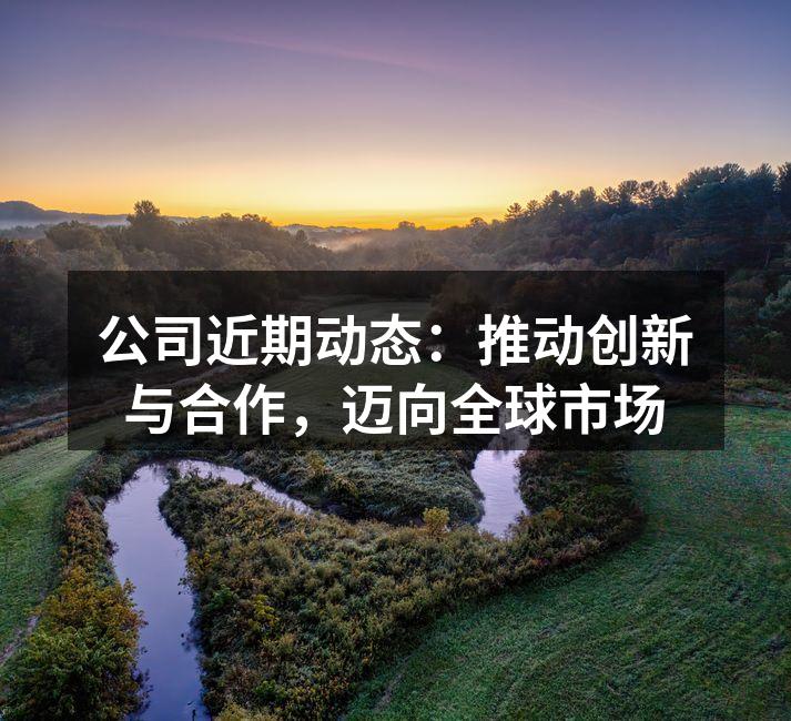 公司近期动态：推动创新与合作，迈向全球市