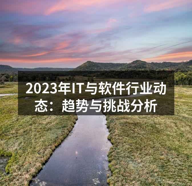 2023年IT与软件行业动态：趋势与挑战