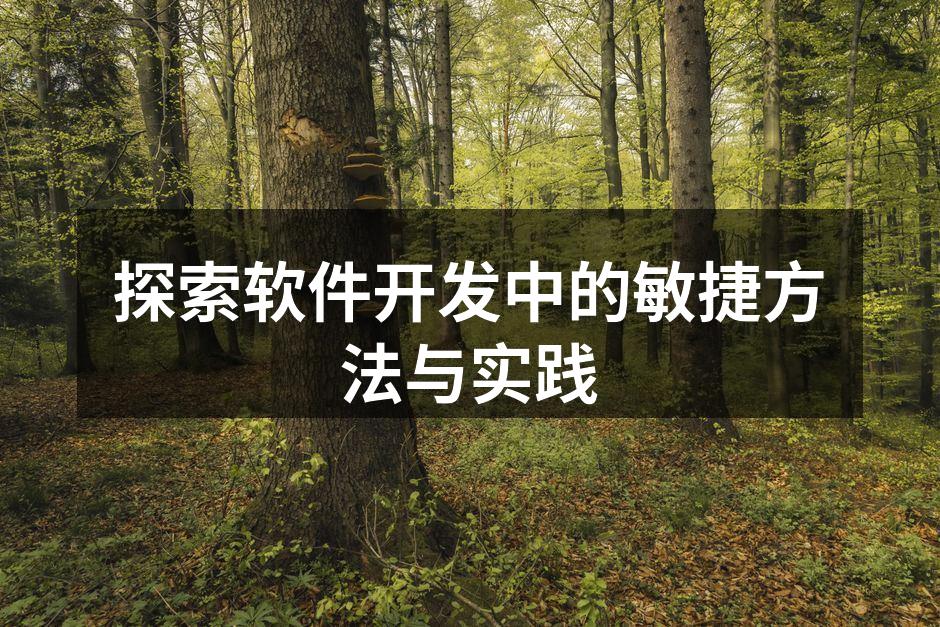探索软件开发中的敏捷方法与实践